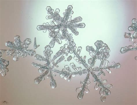 A few favorite snowflake photos | Earth | EarthSky