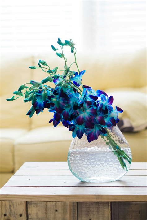 Blue Flowers In A Vase · Free Stock Photo
