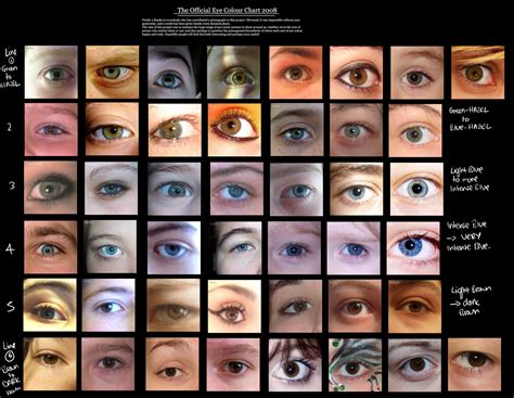 eye colour chart by https://www.deviantart.com/delpigeon on @DeviantArt | Eye color chart, Eye ...