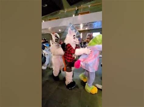 Conga Line at NFC! #nfc #nordicfuzzcon2023 #furry #fursuit - YouTube