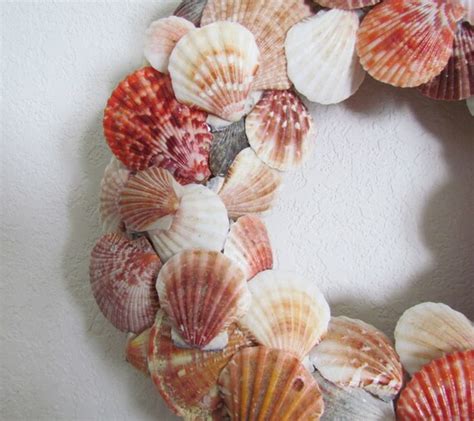 Scallop Shell Coastal Wreath