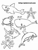Ocean Animals Free Printables sketch template