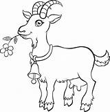 Baby Goat Coloring Pages At GetColoringscom  Free Printable Colorings sketch template