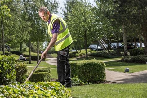 How is Mitie Landscapes progressing with its transformation programme? | HortWeek