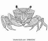 502 Adult Coloring Book Crab Images Stock Photos & Vectors  Shutterstock sketch template