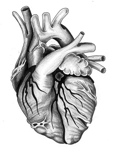 Black heart by JonToogood.deviantart.com on @deviantART | Realistic ...