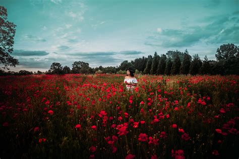 Poppy Field Session + Raleigh, NC Photographer - One Split Pea ...