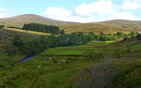 Alex and Bob`s Blue Sky Scotland: Ireland. Donegal. Sperrin Mountains.Day One.. A Love Story.