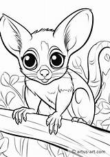 Sugar glider Coloring Page » Free Download Artus Art sketch template