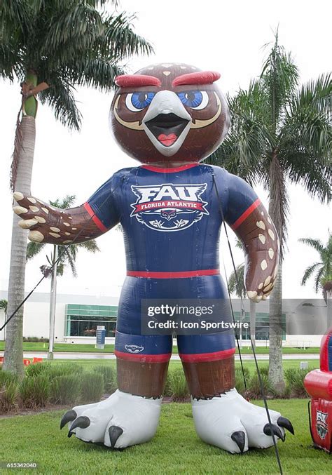 Florida Atlantic Owls mascot blow-up of Owlsley before the game... News ...