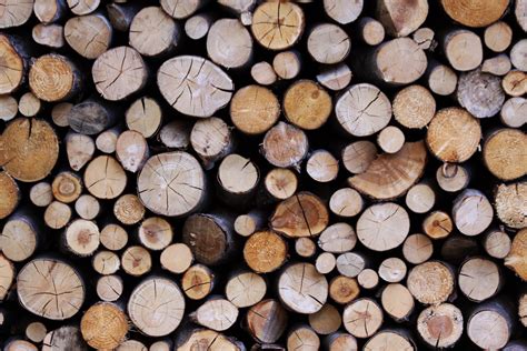 Free Images : wood, trunk, pattern, soil, lumber, circle, close up, series, tree trunks ...