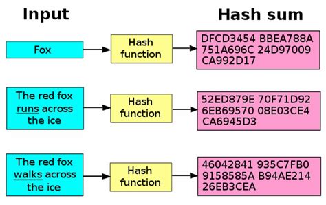 What Is a Hash? | Hacking Tutorials by Xeus