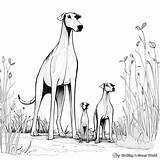 Greyhound Coloring Pages  Free & Printable sketch template