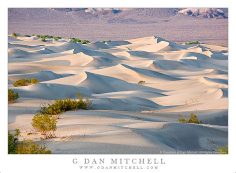 Transverse Dunes, Death Valley | G Dan Mitchell Photography