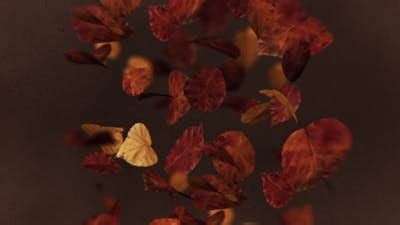 Autumn Leaves Faith | Church Motion Graphics