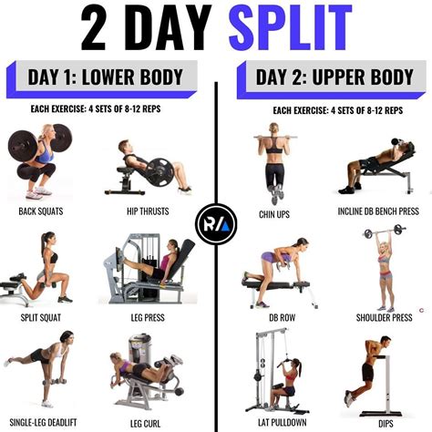 8 Powerful Muscle Building Gym Training Splits - GymGuider.com | Gym ...