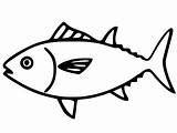 Northern Bluefin Tuna Coloring Page  Free Printable Pages For sketch template