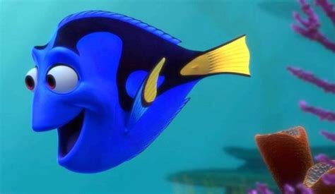 Not Finding Dory: 6 Reasons Not To Buy A Blue Tang Fish