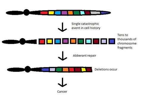 Chromothripsis - Alchetron, The Free Social Encyclopedia