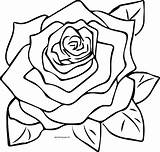 Roses Coloring Pages Printable sketch template