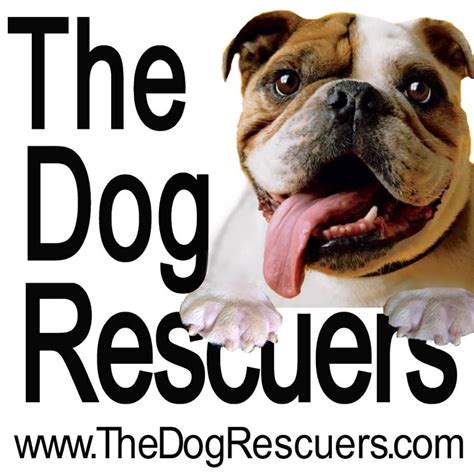 The Dog Rescuers - Official Channel - YouTube