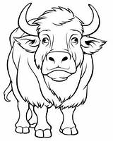 Bison Coloring Vector Art Icons And Graphics For Free Download sketch template