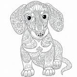 Wiener Dog Coloring Pages At GetColoringscom  Free Printable sketch template