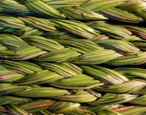 HBR Sweet Grass | Winnipeg Trading Post