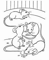 Free Mouse Mice Coloring Page  ChesenDey sketch template
