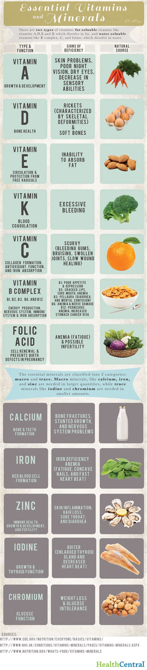 Essential Vitamins And Minerals Map Infographic