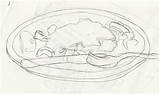 How To Draw Lasagna Sketch Coloring Page sketch template