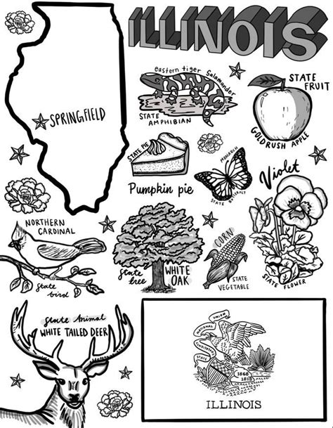 Illinois Coloring Page - Etsy