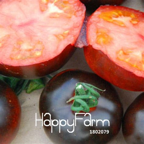 100pcs Black Tomato Seeds OutletTrends.com Free Shipping Up to 70% OFF