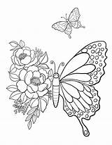 Butterfly Printable Coloring Sheet  Pages Kids sketch template