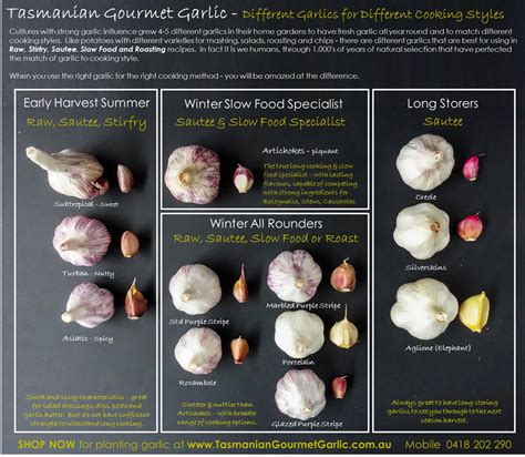 Matching Garlic to Cooking Styles ⋆ Tasmanian Gourmet Garlic | Australian Organic Garlic