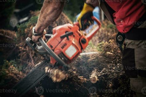 Tree Roots Removal 24636247 Stock Photo at Vecteezy