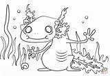 Download Axolotl coloring For Free  Designlooter 2020 ‍🎨 sketch template
