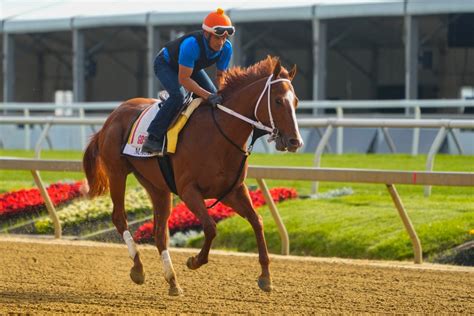 What races are in the Triple Crown, who was the last horse to win it? | The US Sun