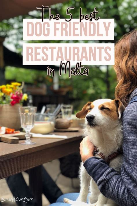 vegan dog friendly restaurants near me - Fitted Cyberzine Portrait Gallery