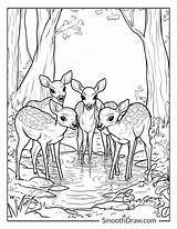 20 Deer Coloring Pages Free Printable PDF sketch template