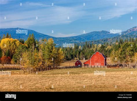 Barnyard scene in autumn Stock Photo - Alamy