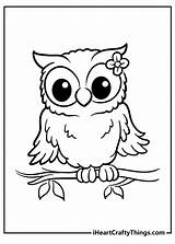 Easy Owl Coloring Pages For Kids sketch template