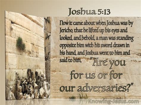 What Does Joshua 5:13 Mean?