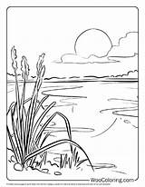 100  Sun coloring Pages Free PDF To Print Woo Coloring sketch template