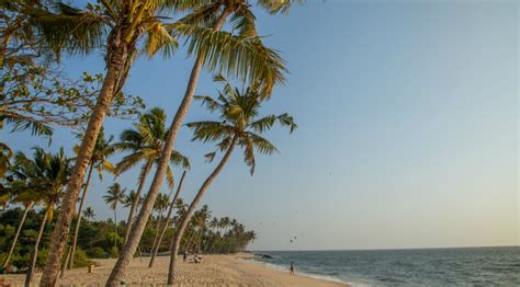 Marari Beach or Mararikulam – Kerala – Beaches Of India