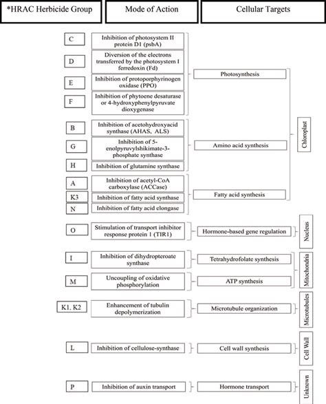 Herbicide Site Of Action Chart