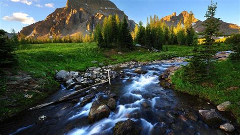 river landscape - Google Search | Beautiful scenery wallpaper, Scenery, Mountain stream