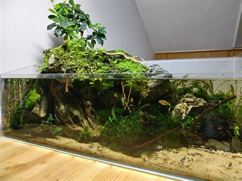 After my high tech tank yesterday here is my low tech paludarium for FTS friday : r/Aquariums