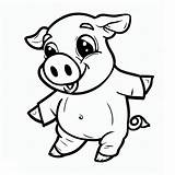 Smiling Pig coloring Page  Download Print Or Color Online For Free sketch template
