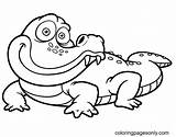 Adorable Alligator Coloring Page  Free Printable Pages sketch template